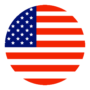 USA flag icon